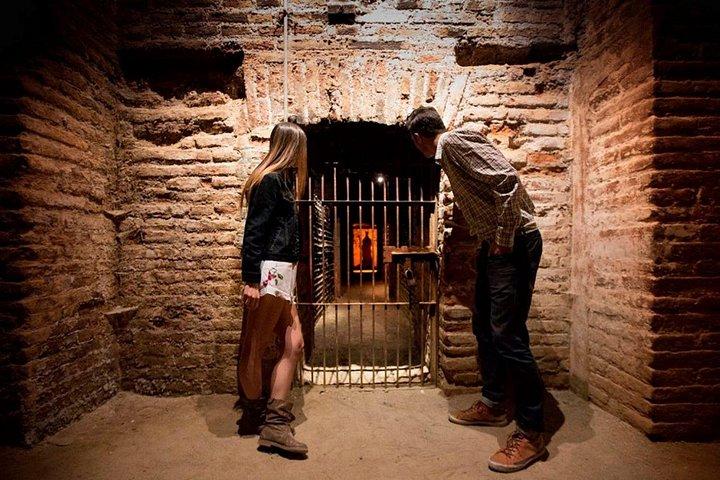New Experience Concha y Toro Winery Tour from Santiago