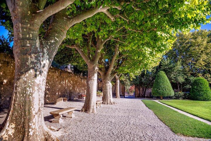 Explore Aix-en-Provence em 60 minutos com um local