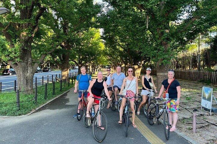 3 - Hr Tokyo Bike Tour : 渋谷の見どころ、裏通り/隠れた名所