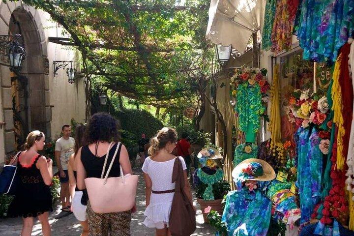 Tour privado desde Roma a Pompeya, la Costa Amalfitana y Positano