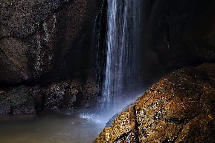 Visita guiada de pequenos grupos à floresta de Tijuca