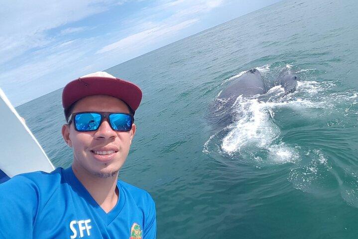 Excursion en catamaran et plongée au Costa Rica