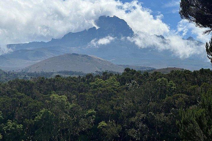 Private Day Tour Kilimanjaro Hike