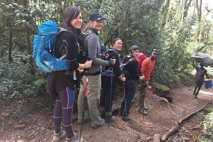 Private Day Tour Kilimanjaro Hike