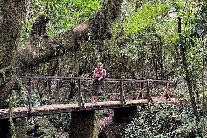 Private Day Tour Kilimanjaro Hike