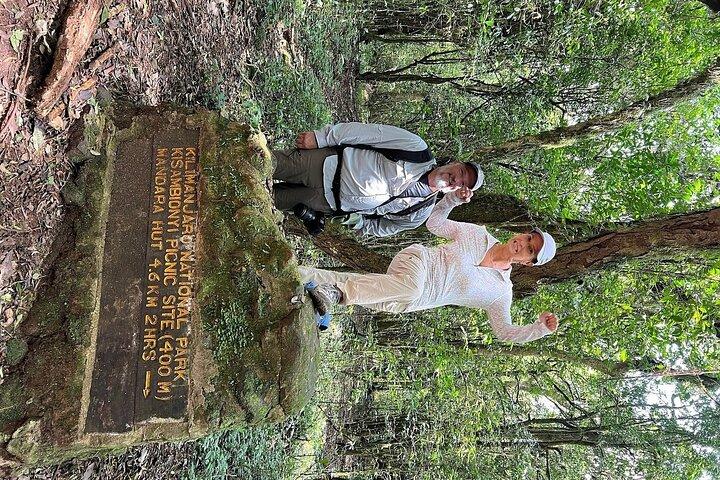 Private Day Tour Kilimanjaro Hike