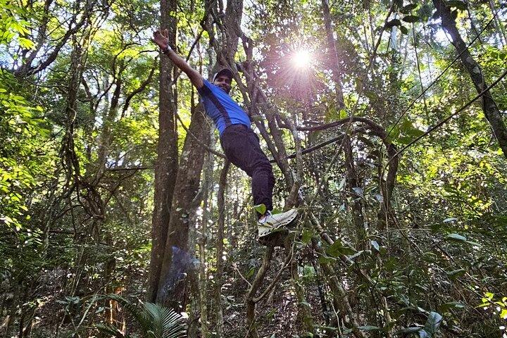 Visita guiada de pequenos grupos à floresta de Tijuca