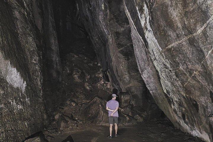 Small-Group Tijuca Forest Guided Tour