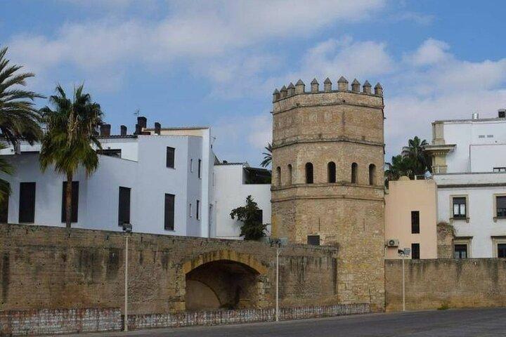 Privétour met lokale gids om het essentiële Sevilla te ontdekken