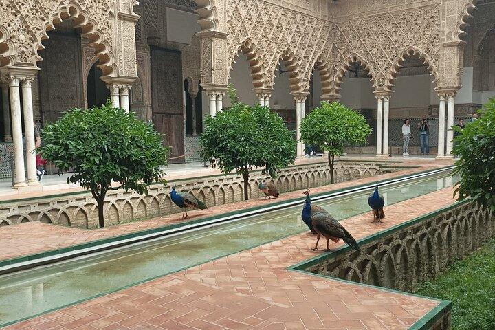 Privétour met lokale gids om het essentiële Sevilla te ontdekken