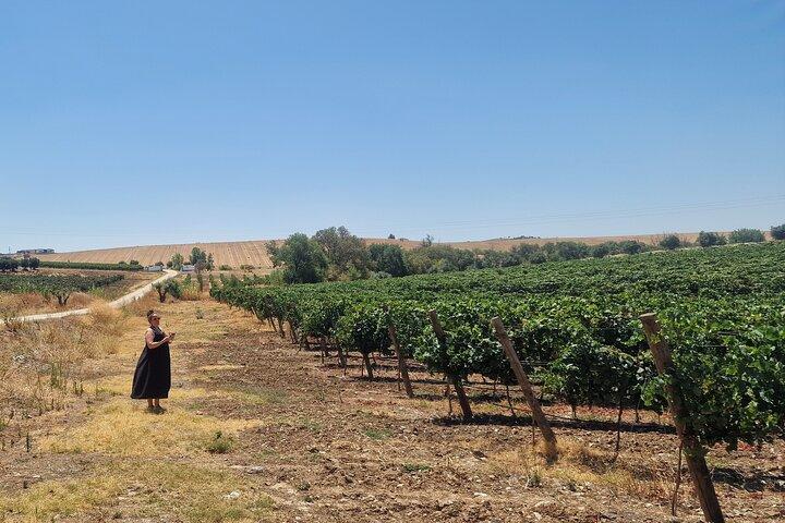 Lisbon to Evora: Cork Factory Visit and Wine Tour + hotel pick-up