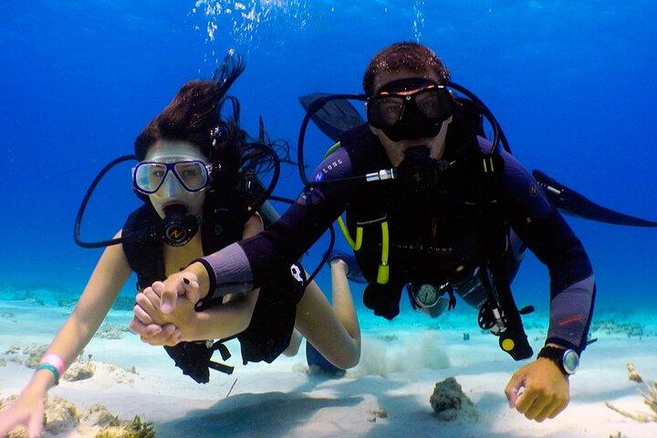 Avventura subacquea con trasferimenti a Dubai