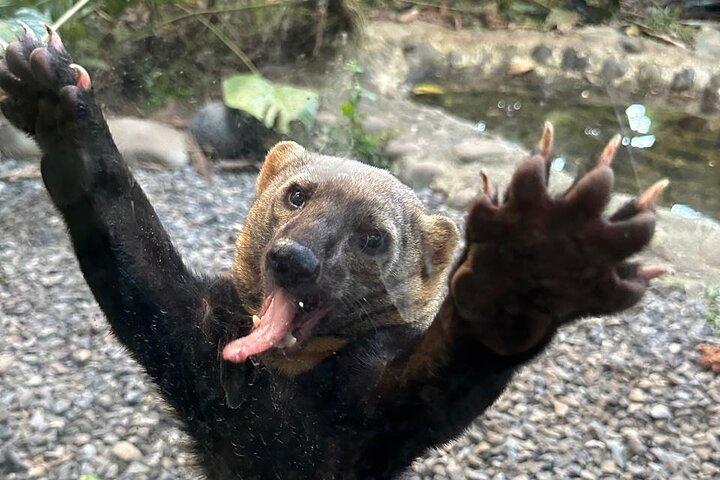 4 Tage Cotopaxi, Quilotoa, Baños und Amazonas mit Hotel und Aktivitäten inklusive