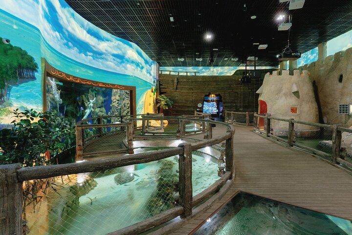 National Aquarium Abu Dhabi Entry Ticket