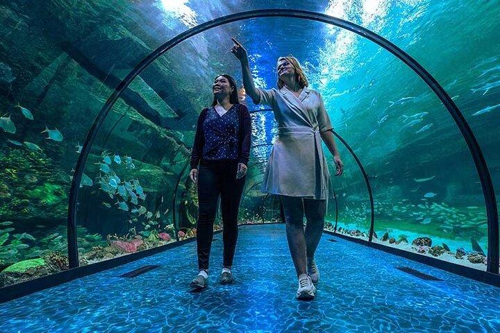 National Aquarium Abu Dhabi Entry Ticket