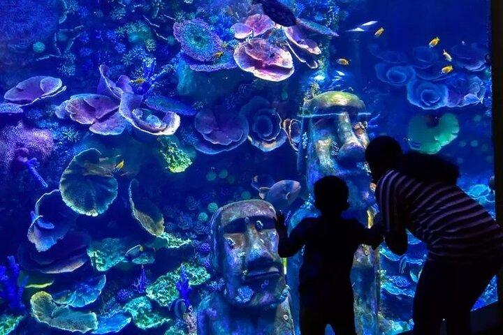 National Aquarium Abu Dhabi Entry Ticket