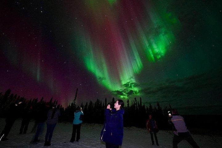 山頂360°ベストアラスカンキャビン写真付@オーロラキャンプ