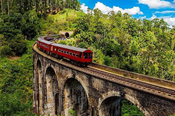 Enchanting Guided Day Tour em Ella