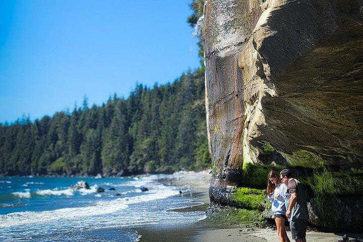 西海岸野生生物熱帯雨林の滝とビーチ