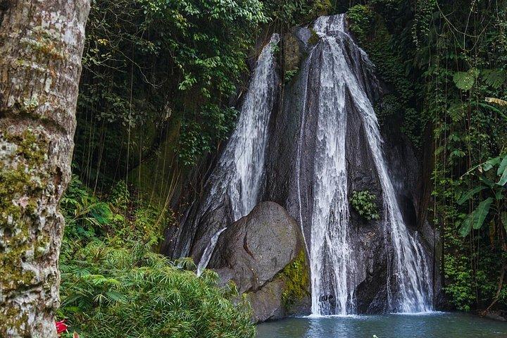 [ALL INCLUSIVE] Gitgit Waterfall Tour con trasporto privato