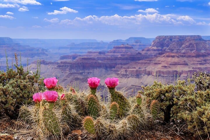 3-Day Grand Canyon, Antelope, Bryce & Zion Tour from Vegas