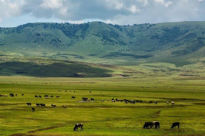 8 Dage Kenya og Tanzania Privat Budget Camping Safari