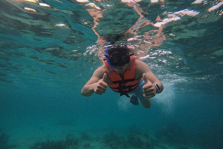 コスタマヤ、魚とサンゴ礁でシュノーケリング、カメ探し