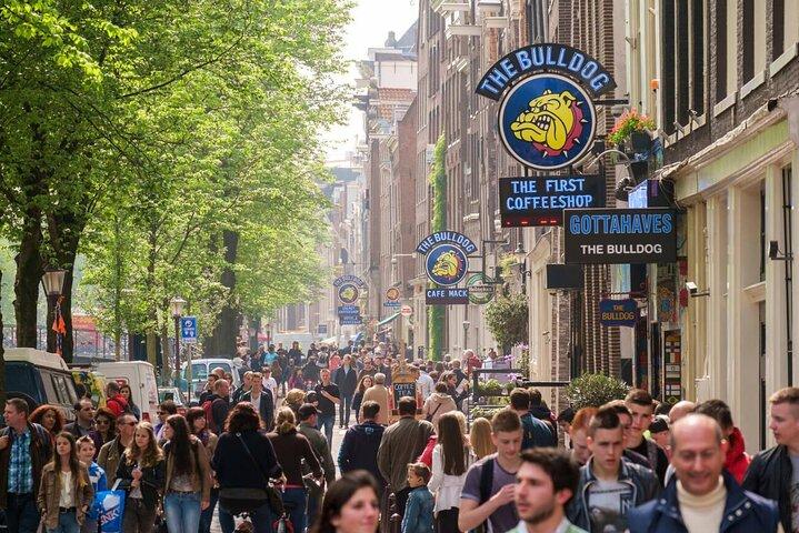 Amsterdam Red Light District History and Secrets Tour