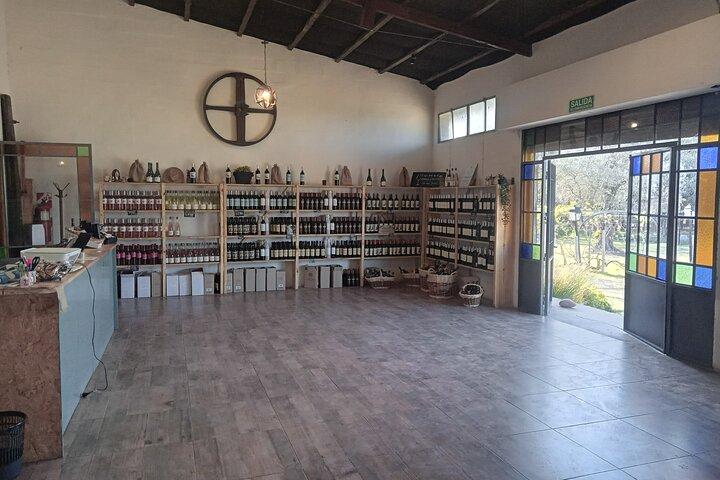 Ruta del vino con almuerzo