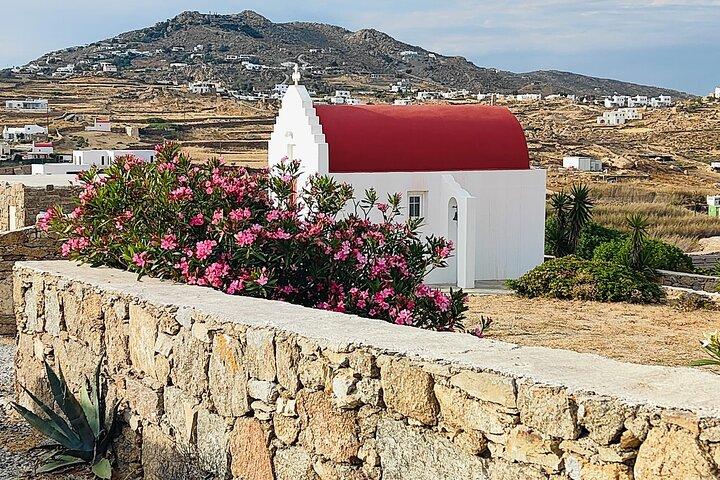 Bedste private lokale guidet tur i Mykonos - 4 timer!