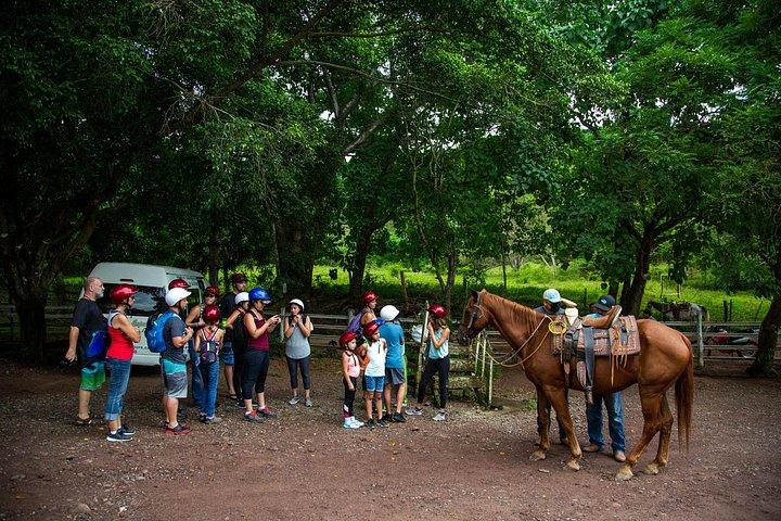 プエルト バジャルタからのシエラ マドレでの乗馬ツアー