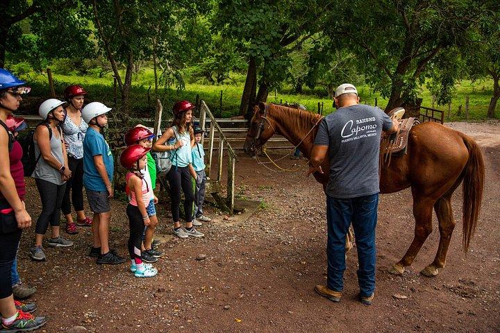プエルト バジャルタからのシエラ マドレでの乗馬ツアー