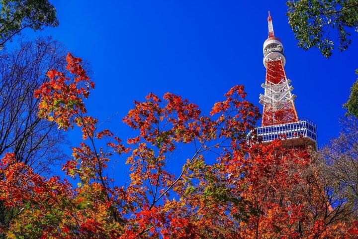 All Inclusive Private Tour Gør dit eget Tokyo eventyr
