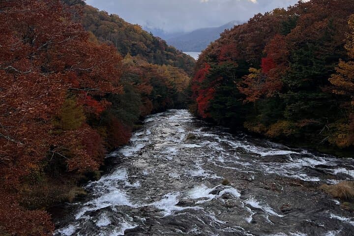 English-speaking guided day tour of Nikko with a private vehicle