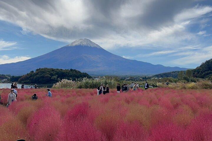 英語ガイドツアー:富士山＆箱根、専用車