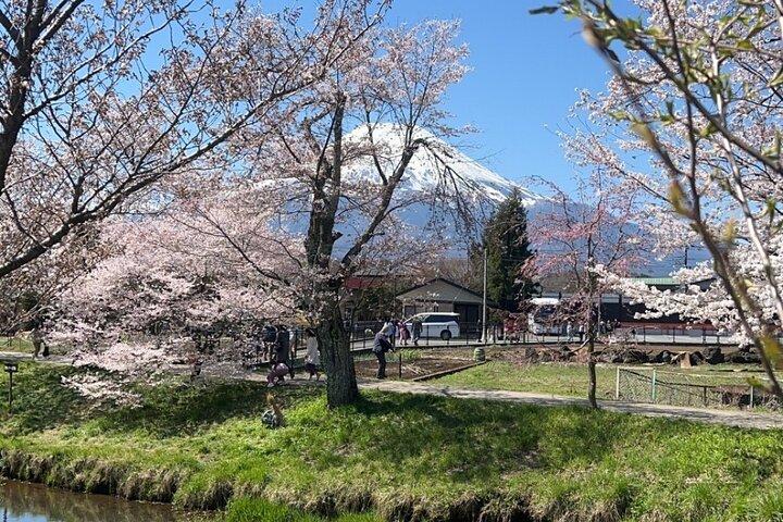 英語ガイドツアー:富士山＆箱根、専用車