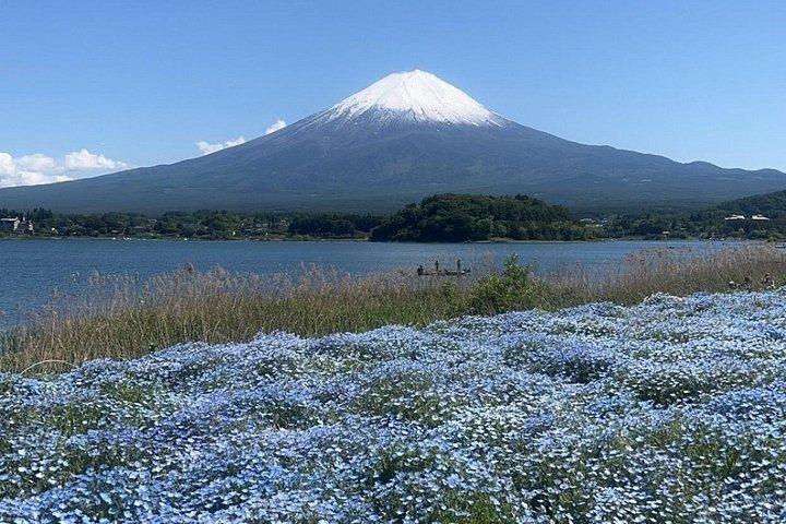 英語ガイドツアー:富士山＆箱根、専用車