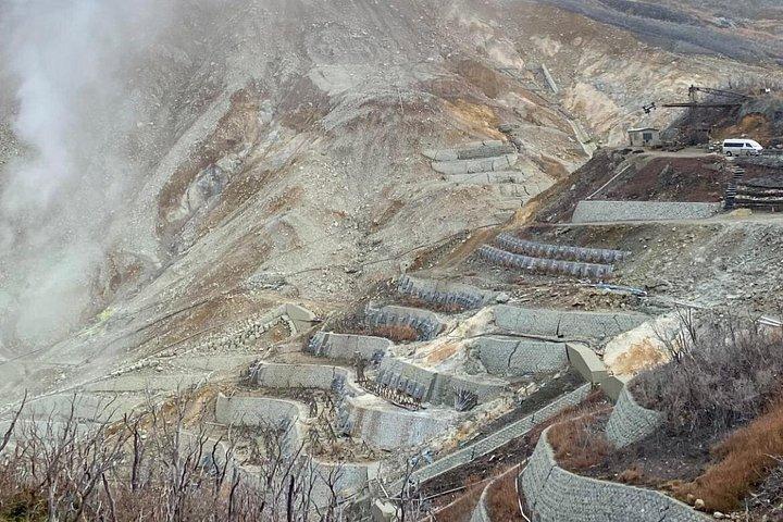 英語ガイドツアー:富士山＆箱根、専用車
