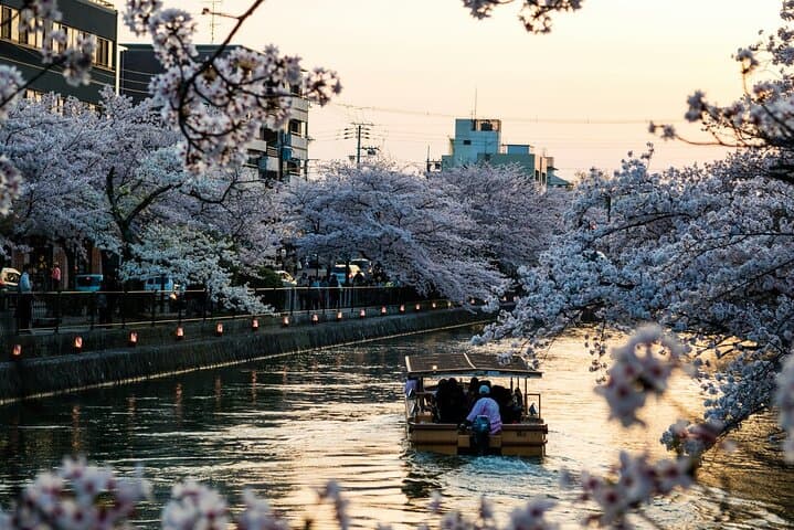 Tokyo City Adventures Private English Tour With Hotel Pickup