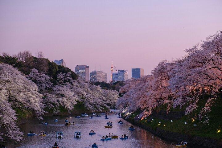 Tour privado por la ciudad de Tokio con conductor de habla inglesa
