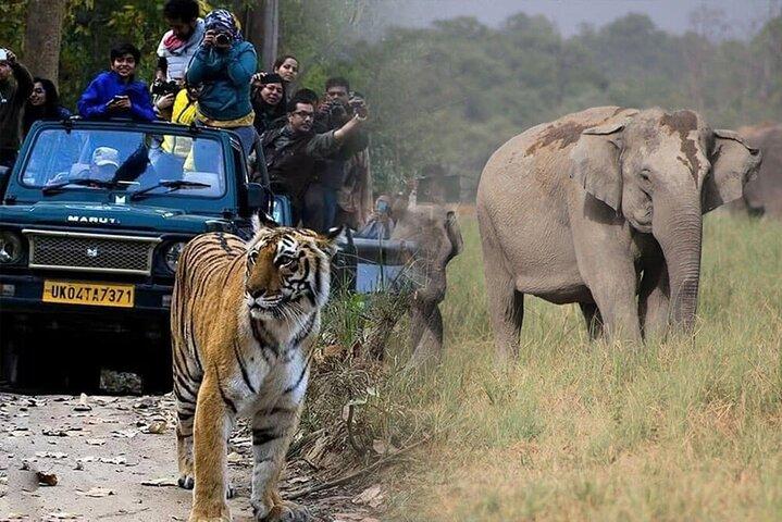 Ahmedabad à Jim Corbett:Aventure de 2 jours en safari aérien dans la nature
