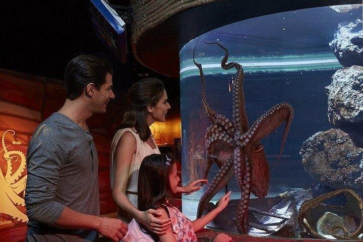 SEA LIFE バンコクオーシャンワールド＆マダムタッソー館Eチケット