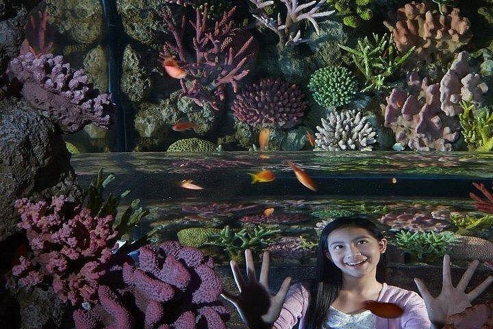 SEA LIFE バンコクオーシャンワールド＆マダムタッソー館Eチケット