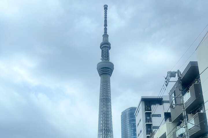 English-speaking guided day tour of Tokyo with a private vehicle