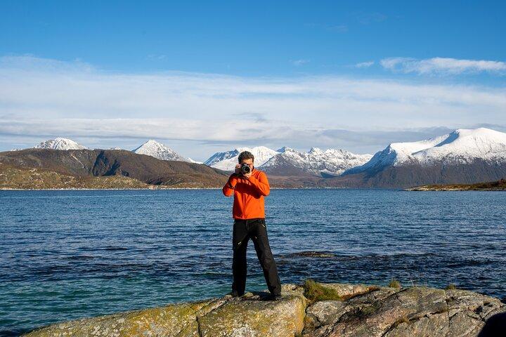 Excursion dans le fjord arctique avec pique-nique panoramique au départ de Tromso