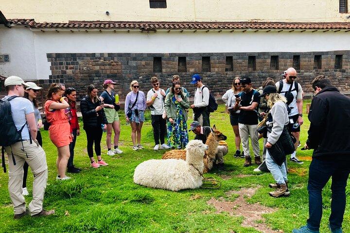 Tour a piedi di Cusco City : Storia, Tradizione, Cultura