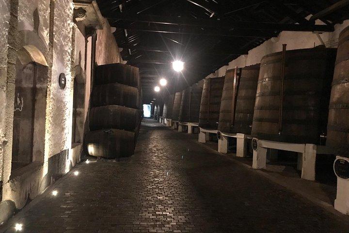 ポルトでの半日、ポートワインセラーの訪問と試飲付き