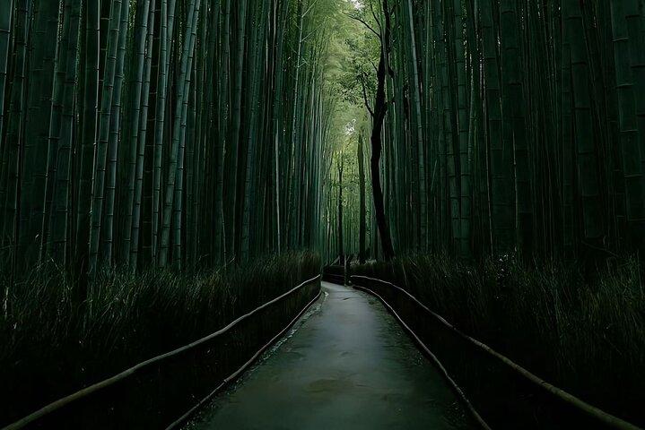 Kyoto&Nara&Osaka: tour privato in auto personalizzato di un giorno