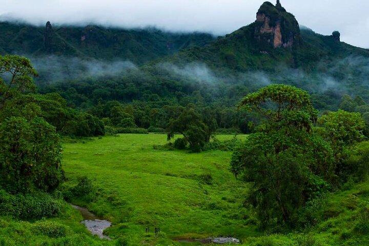 5 Tage Bale Mountains Trekking