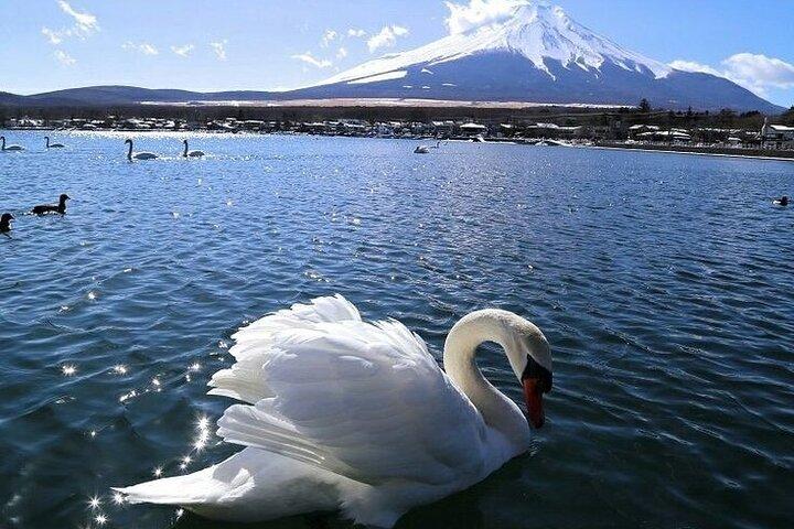 富士山箱根神社、大涌谷英語バスツアーまたは少人数